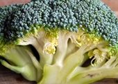 Broccoli