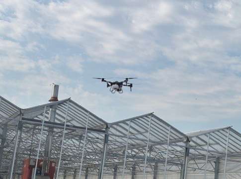 High Vantage Ltd Helps Quantil Limited Keep Its Glasshouses in Top Condition