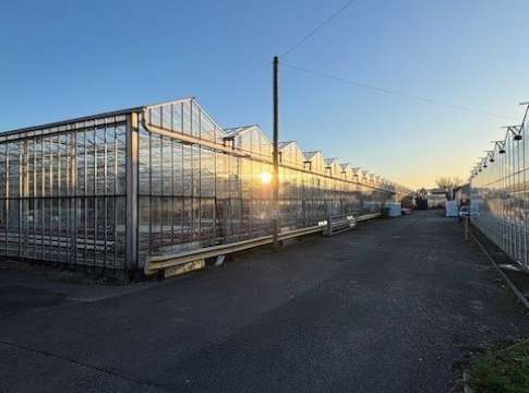 Our Business Expands with further Land & Greenhouse Space