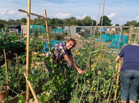 Quantil supports Workhorse Generation charity with veg plant donation.